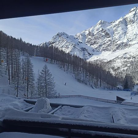 Orange Fox Cervinia Apartment Vda Vacanze In Vetta Cir 0185 بيريوِل تْشيرفينيا المظهر الخارجي الصورة